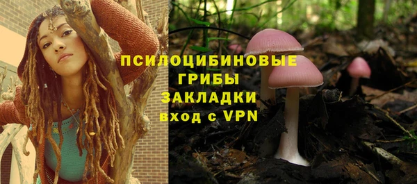 mdpv Беломорск
