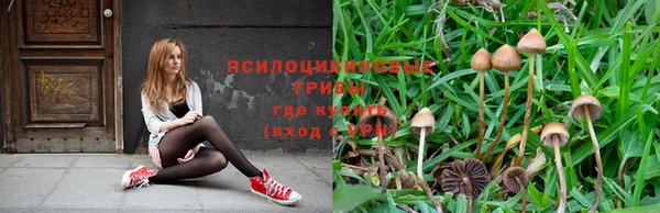 mdpv Беломорск