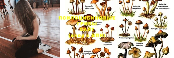 альфа пвп Белоозёрский